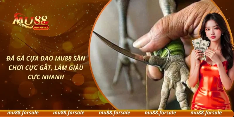 Đá Gà Cựa Dao MU88 Sân Chơi Cực Gắt, Làm Giàu Cực Nhanh